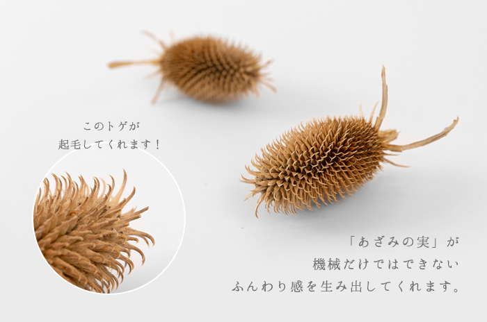 あざみの実